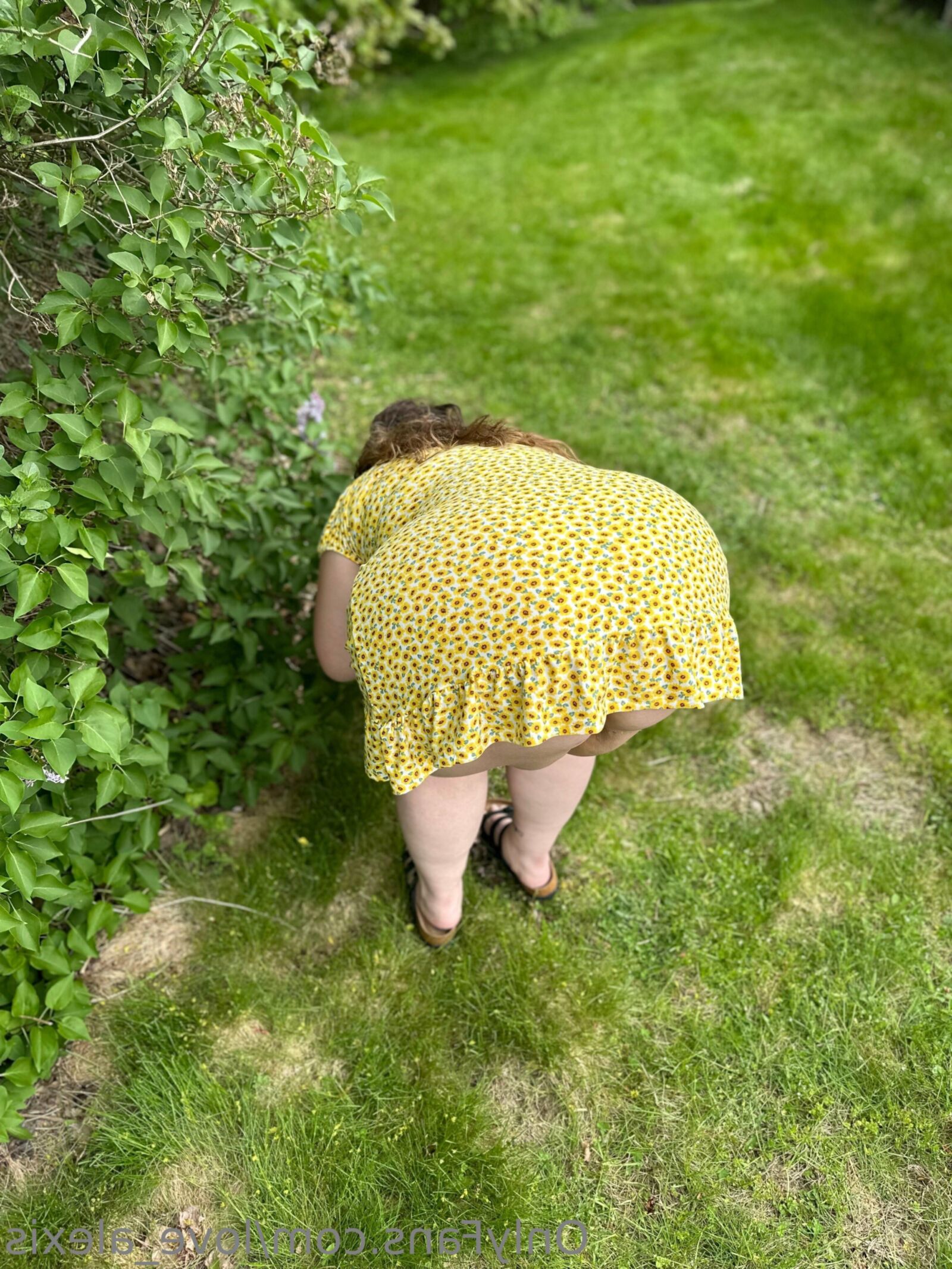 Alexis Huge Ass Big Boobs Beauty BBW Milf with Glasses Mixed Sho