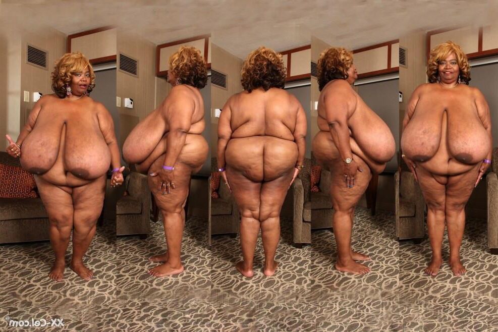 XX Cel Norma Stitz