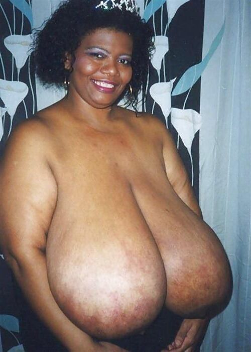 XX Cel Norma Stitz