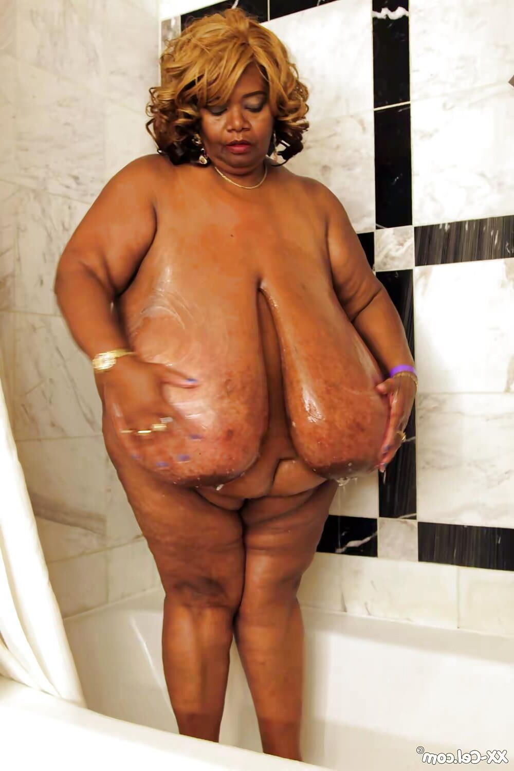 XX Cel Norma Stitz
