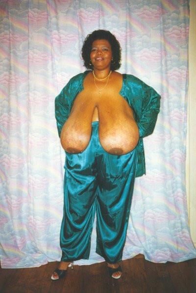 XX Cel Norma Stitz