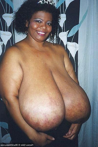 XX Cel Norma Stitz