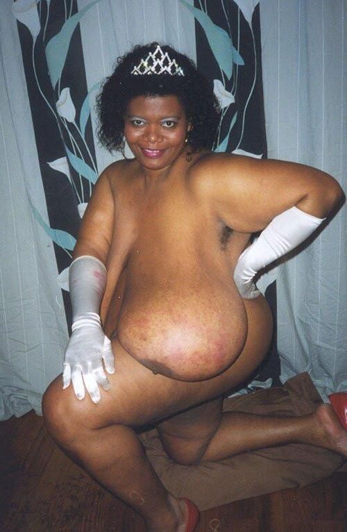 XX Cel Norma Stitz