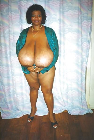 XX Cel Norma Stitz