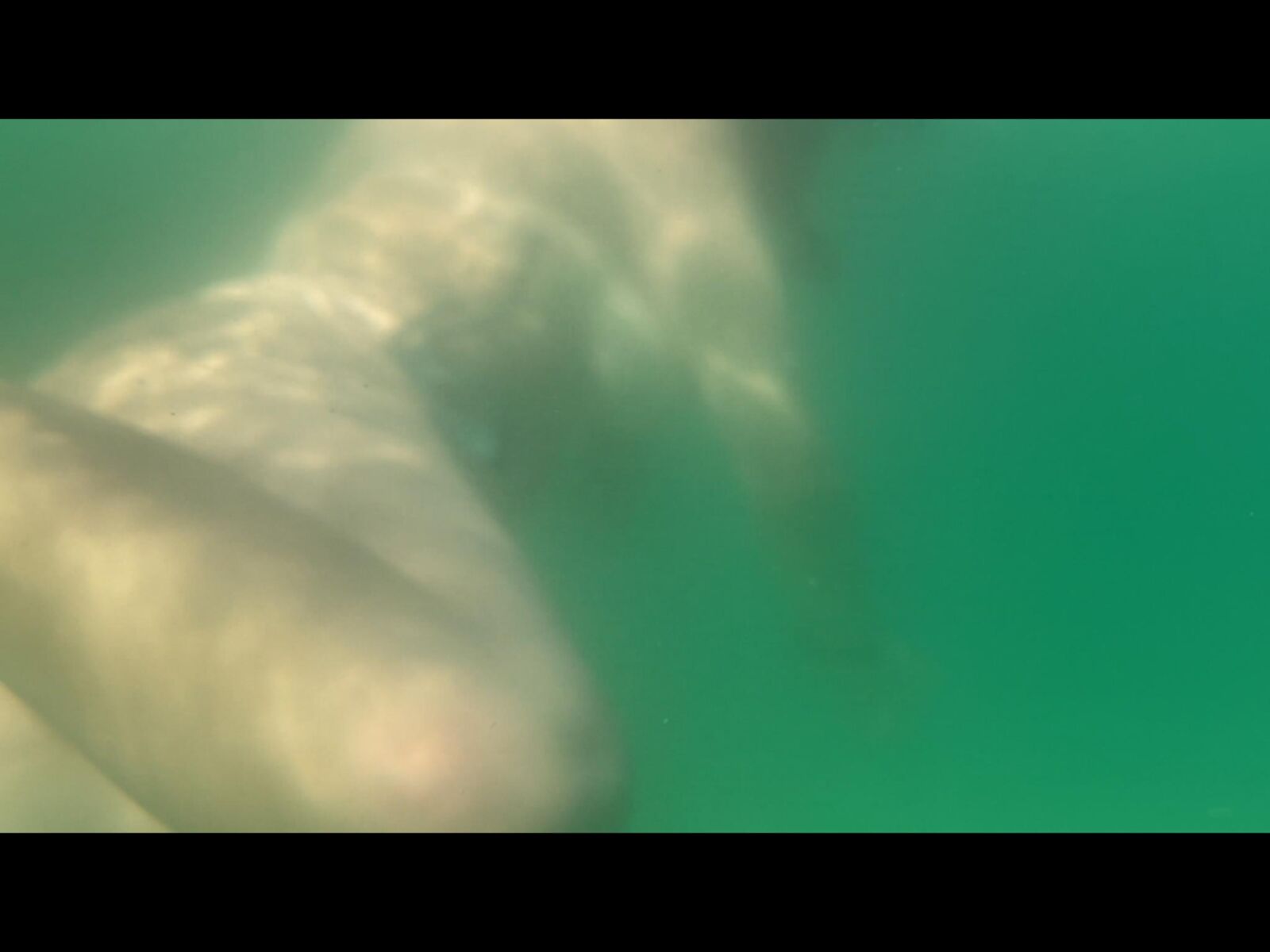 My topless wife underwater 