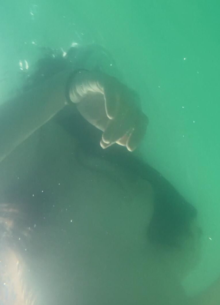 My topless wife underwater 