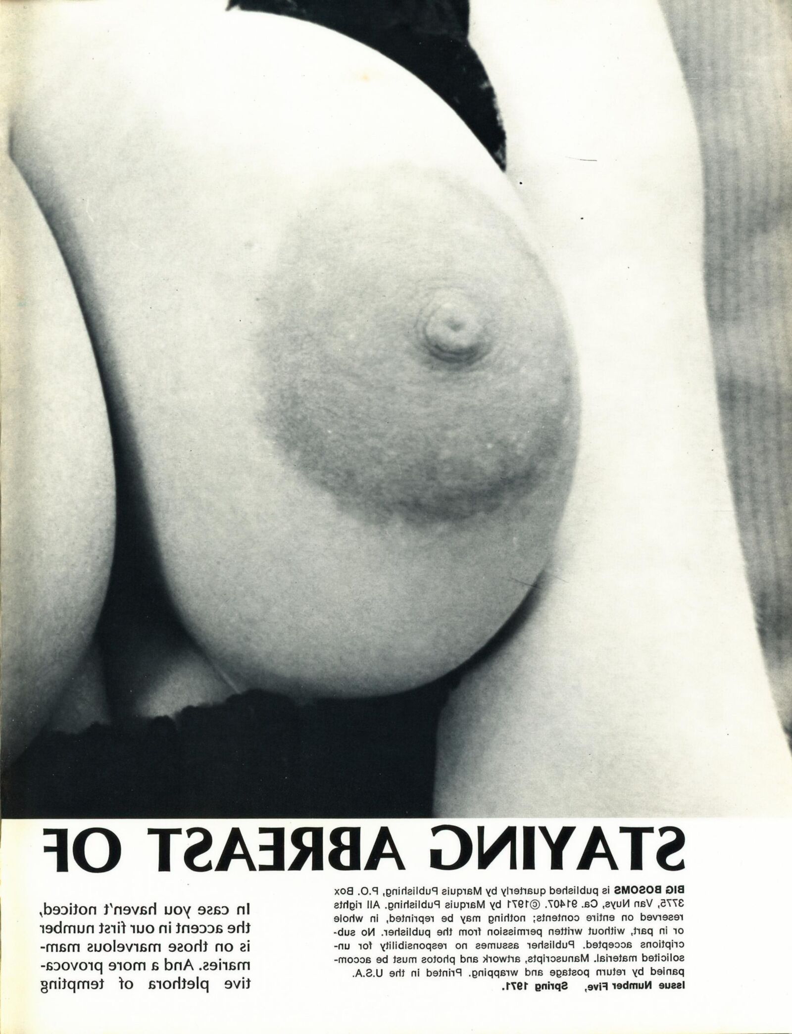Большие боса ()