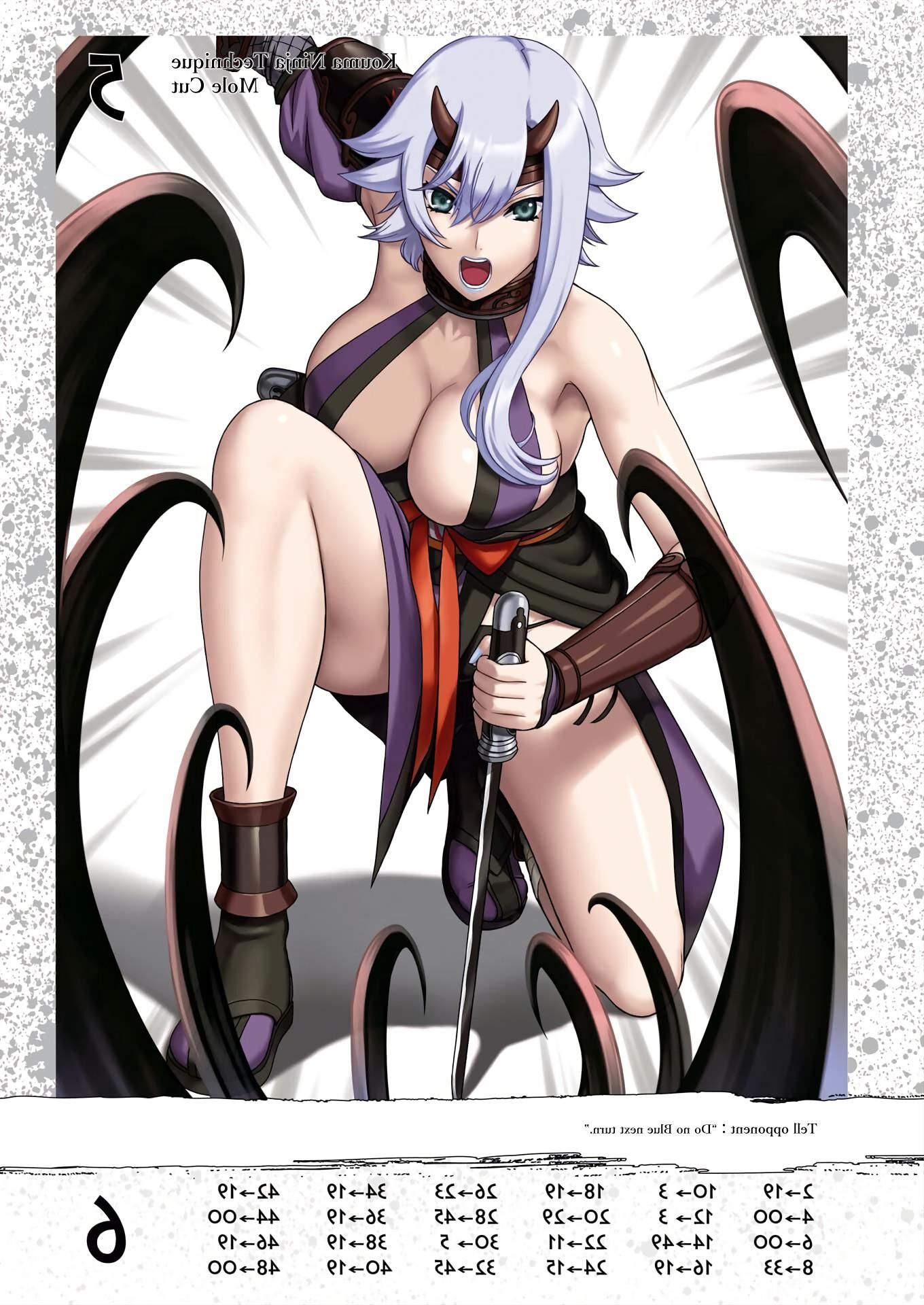 Queens Blade Shizuka Buchkunst