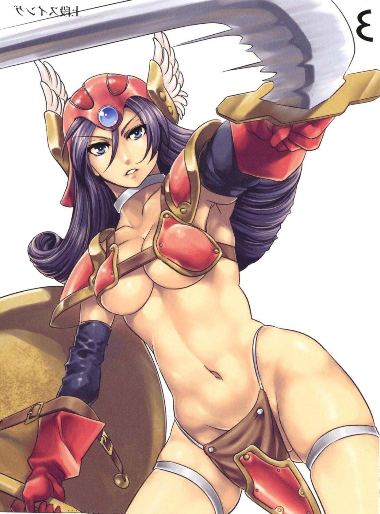 Queens Blade Book Senshi Stella Dragon Quest III