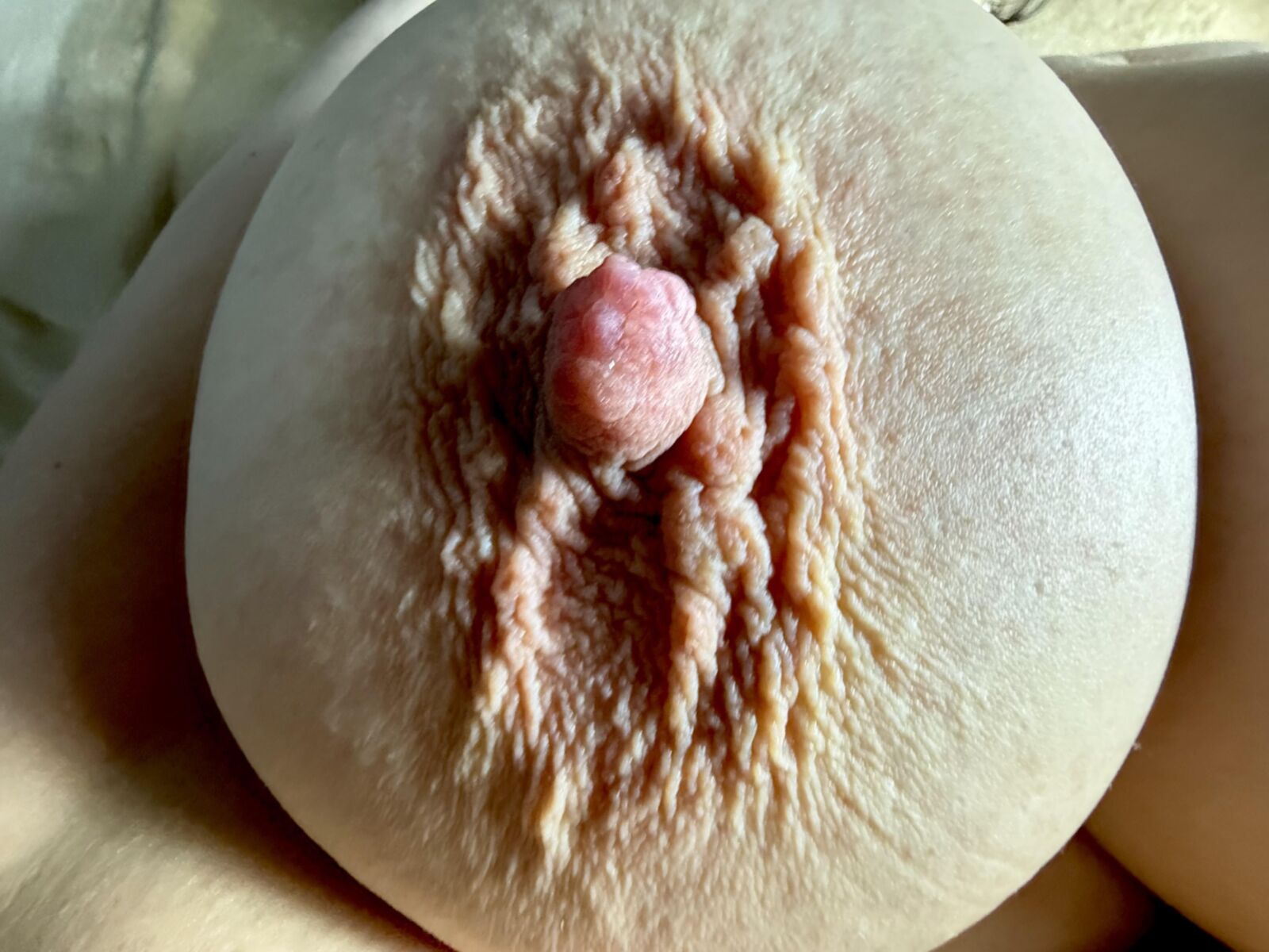 Nippelauswahl zufällig