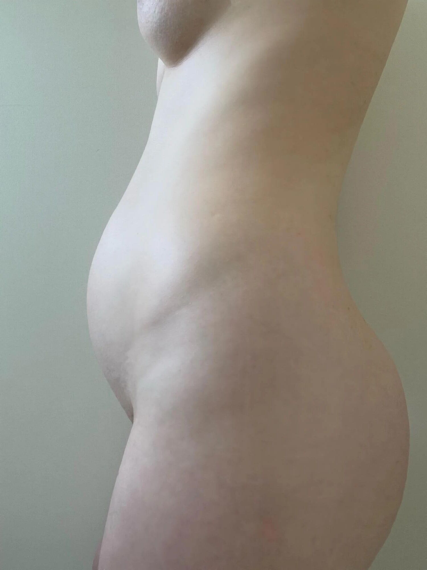 Schwangerer Nude