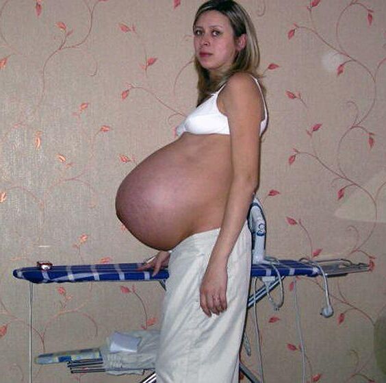 Amadores de Preggo gostoso