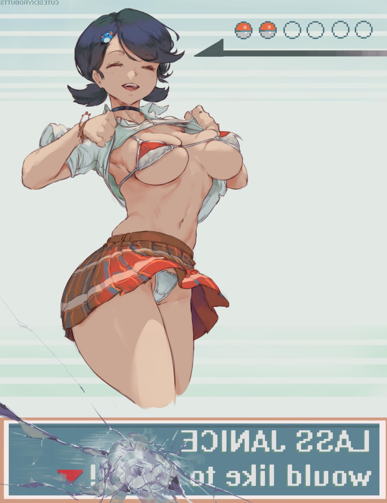 CSR Mix 
