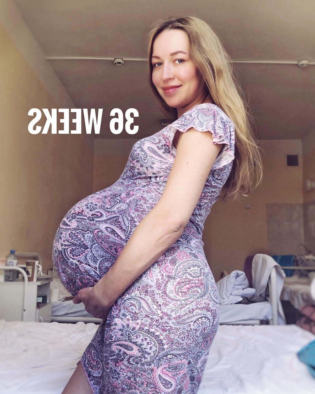 Amadores de Preggo gostoso