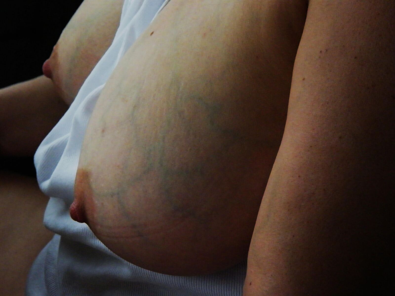 Nipplles, the Veins that Feed them and Run Through them