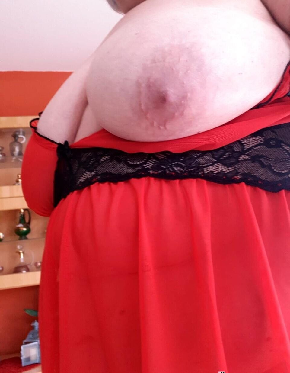 Splendides Grosses Truies Matures Encore Parfaites pour Saillie