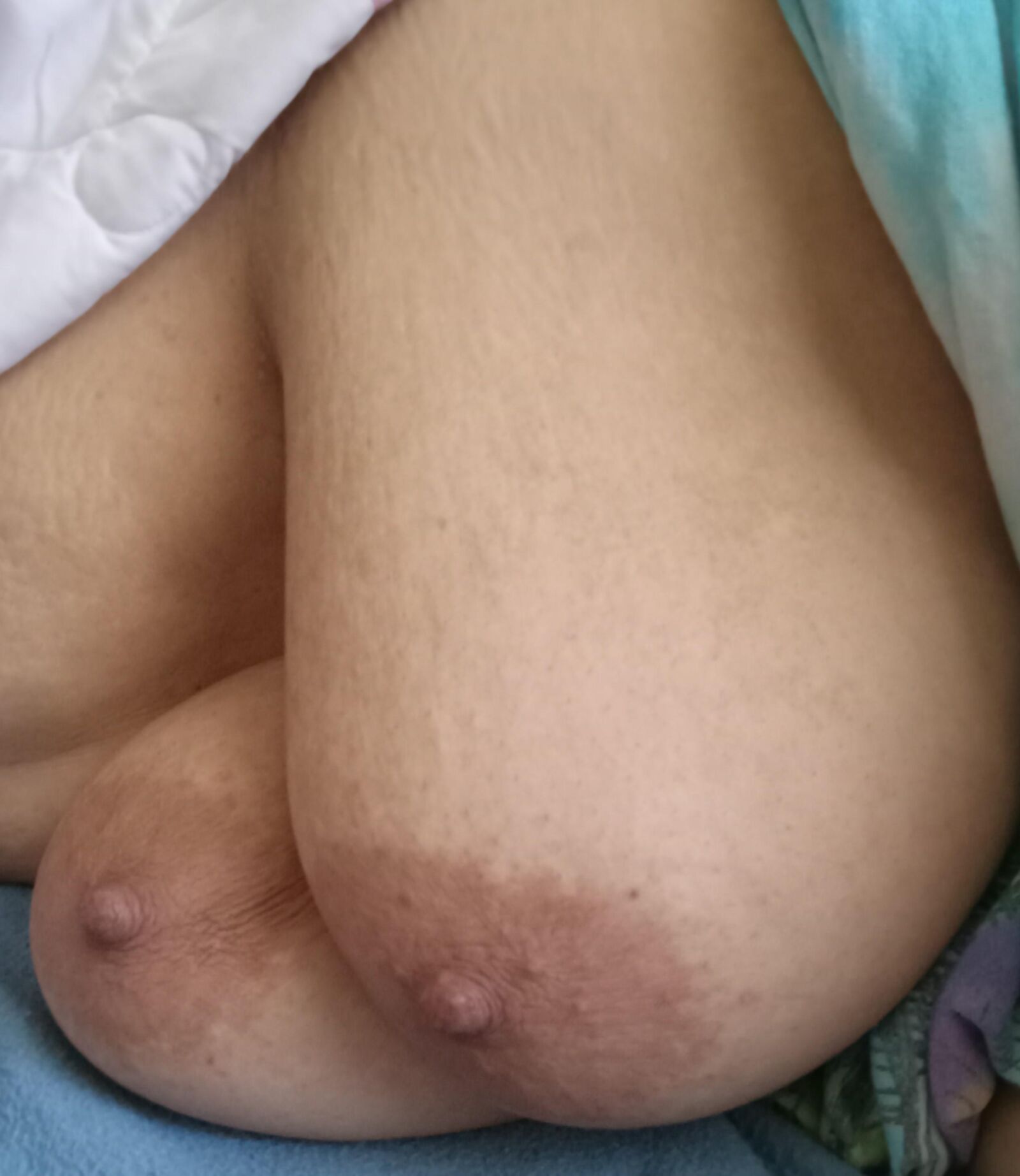素敵な垂れ下がったudders