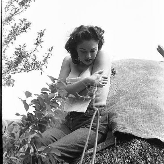 Wolf Vintage Charming Beauties Tumblr Collection