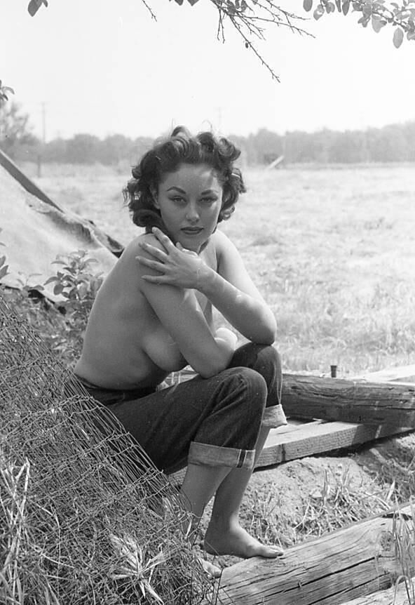 Wolf Vintage Charming Beauties Tumblr Collection