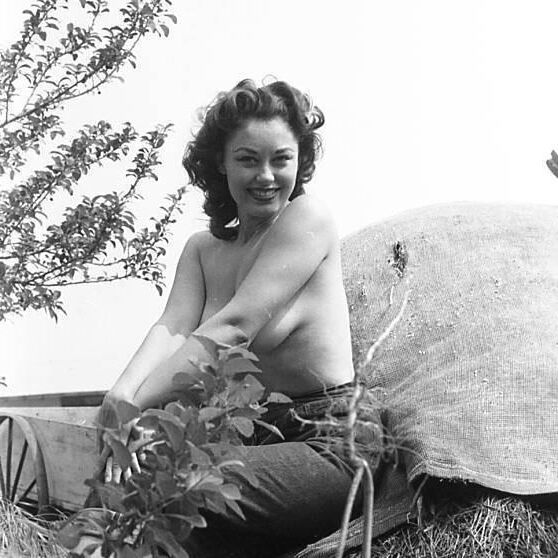 Wolf Vintage Charming Beauties Tumblr Collection