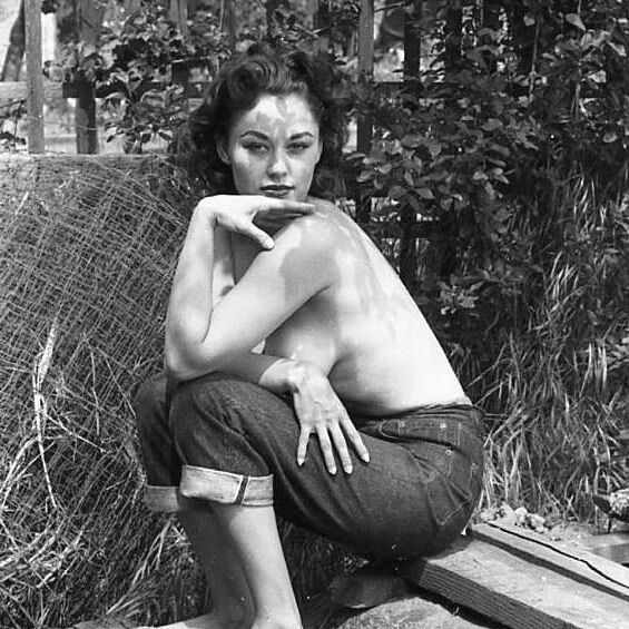 Wolf Vintage Charming Beauties Tumblr Collection