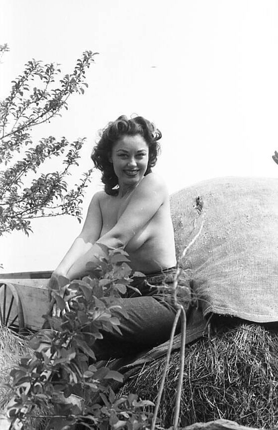 Wolf Vintage Charming Beauties Tumblr Collection
