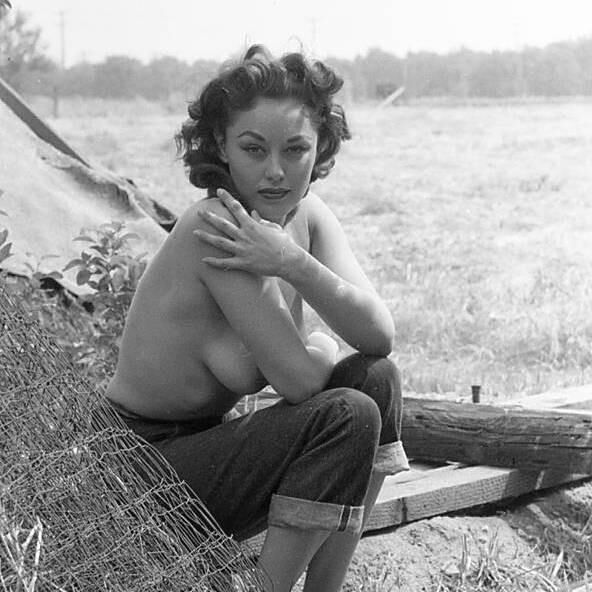 Wolf Vintage Charming Beauties Tumblr Collection