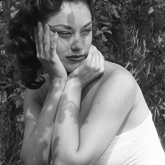 Wolf Vintage Charming Beauties Tumblr Collection
