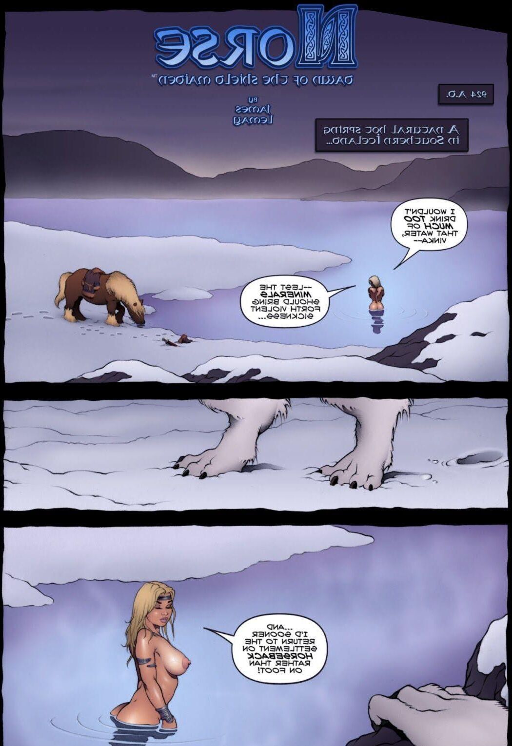 Norse Dawn of the Shield Maiden James LeMay