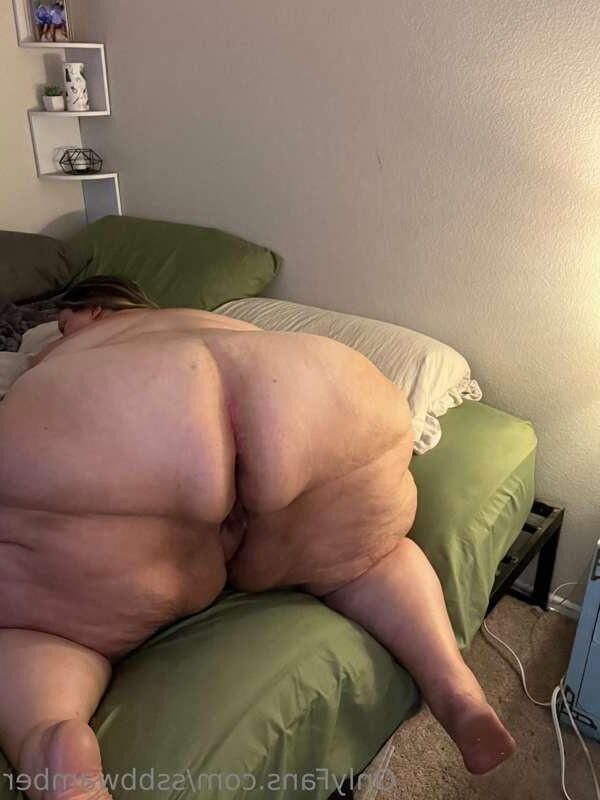 BBW SSBBW Collection 
