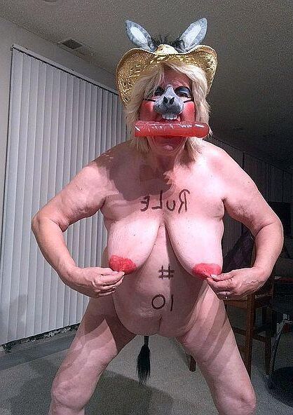 Pigs and Sluts
