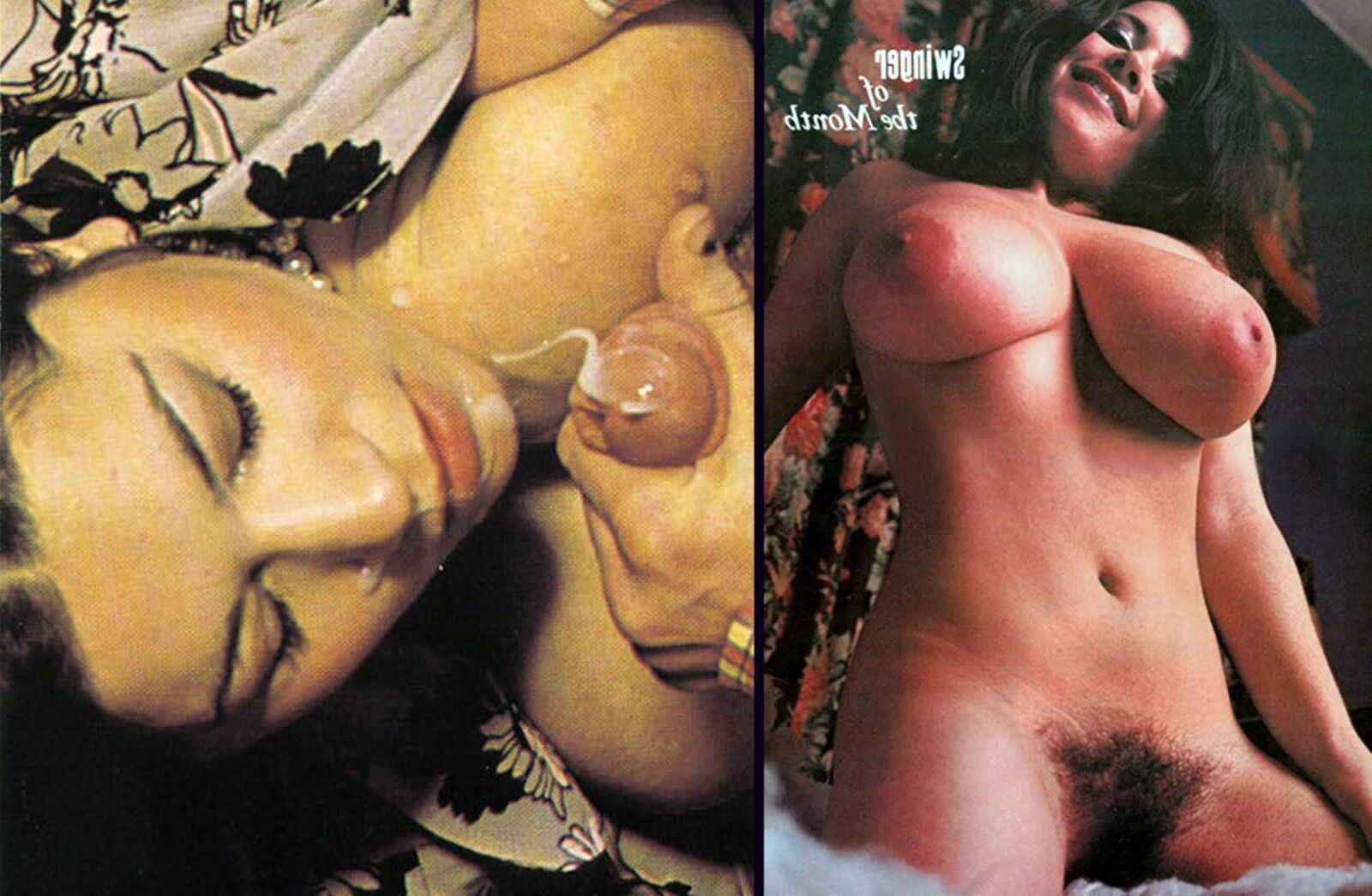 Clyda Rosen 's Busty & Hairy Porn Legend