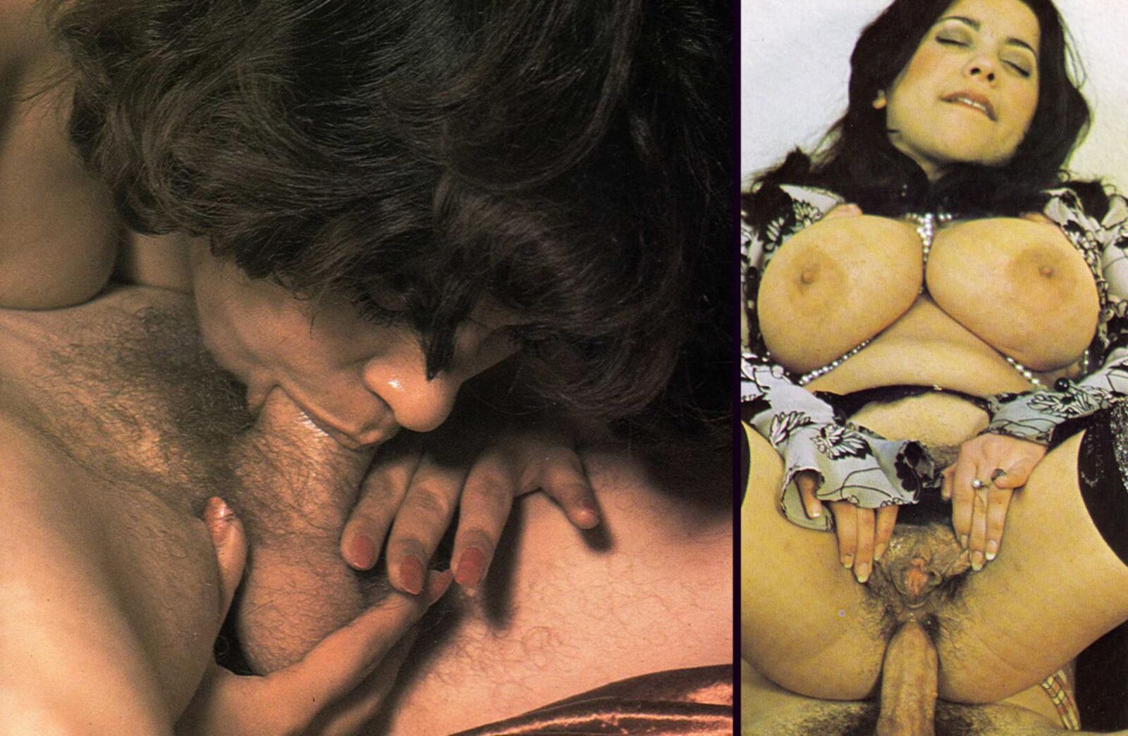 Clyda Rosen 's Busty & Hairy Porn Legend