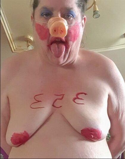 Pigs and Sluts